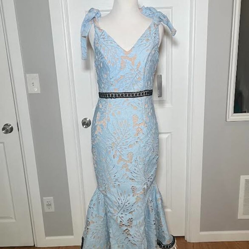 l'atiste lace dress